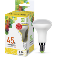 Лампа светодиодная LED-R50-econom 5Вт 220В Е14 3000K 400Лм ASD
