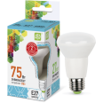 Лампа LED-R63-econom 8W/4000K 220В Е27 650Лм ASD