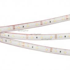 Светодиодная лента RTW 2-5000PS 12V White6000 (3528, 300 LED, LUX) (ARL, 4.8 Вт/м, IP67)